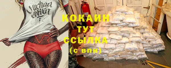 трава Магас