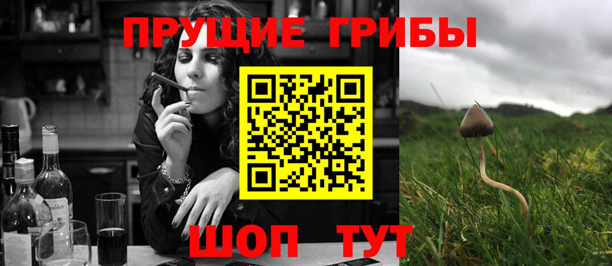 Галлюциногенные грибы Psilocybe Дзержинский