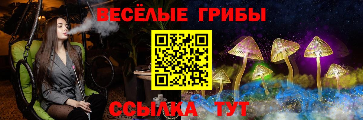 Псилоцибиновые грибы Psilocybe  Вход с VPN  Дзержинский 